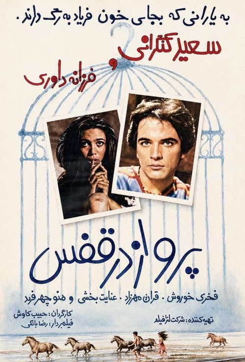 Flying in a Cage poster
