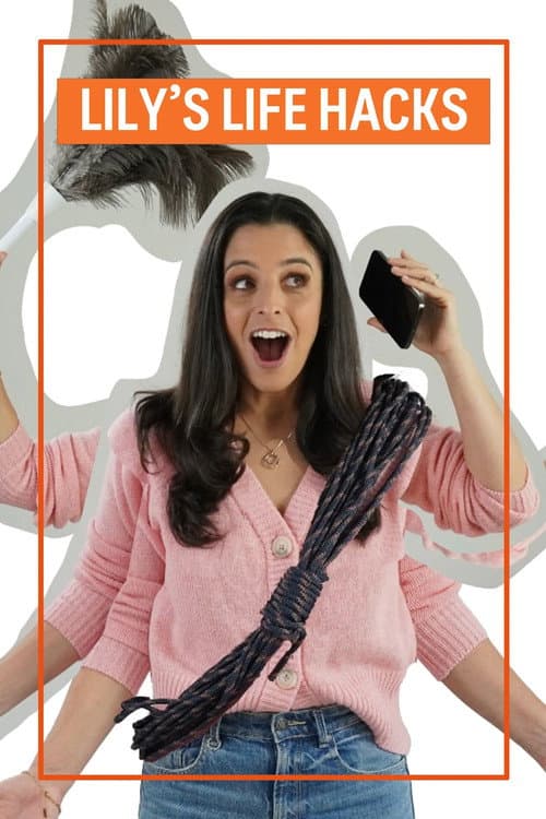 Lily's Life Hacks poster