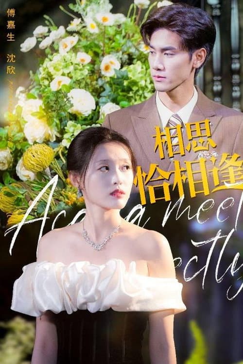 相思恰相逢 poster