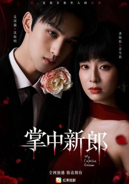 掌中新郎 poster