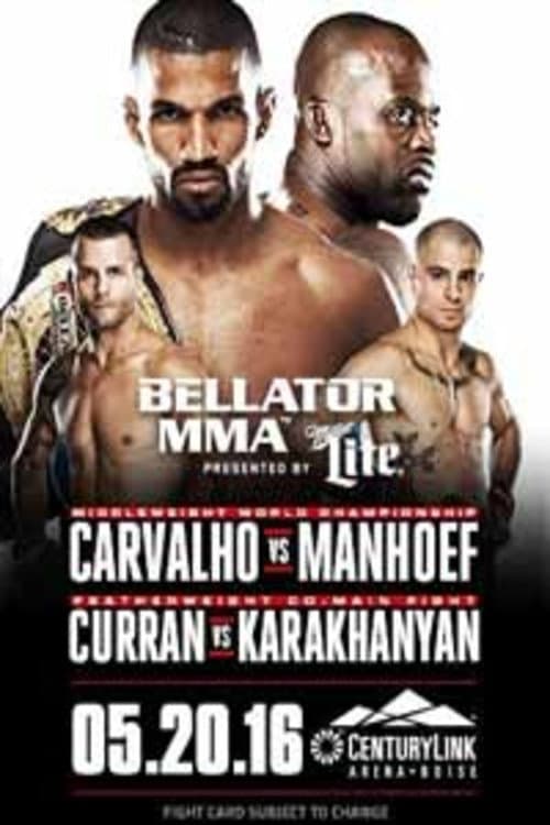 Bellator 155: Carvalho vs. Manhoef poster