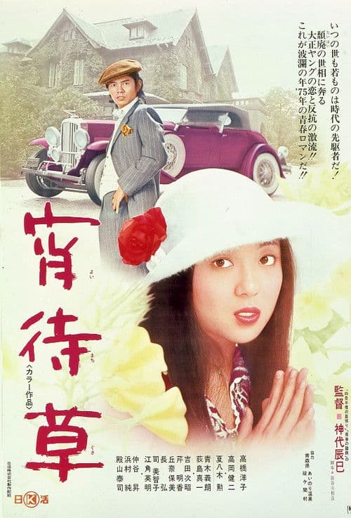 Evening Primrose poster
