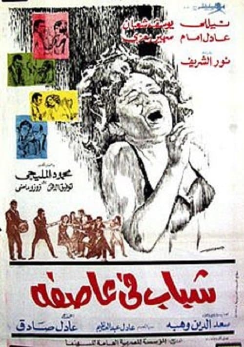 Youth in a Storm poster