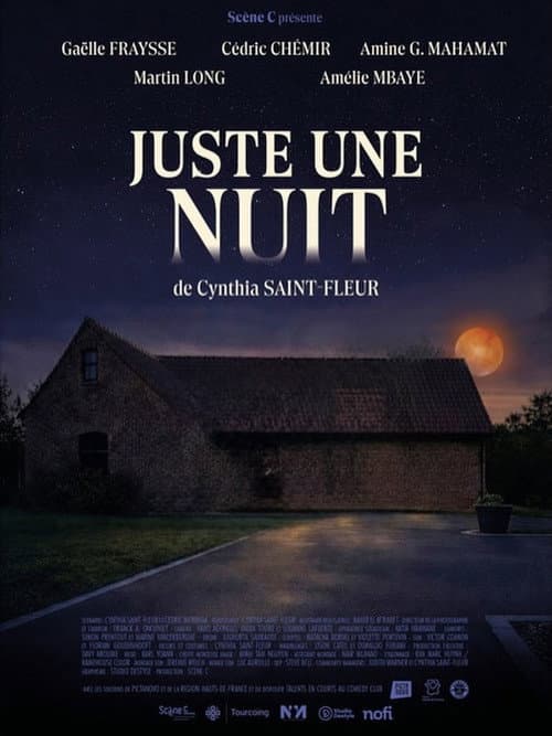 Juste une Nuit poster