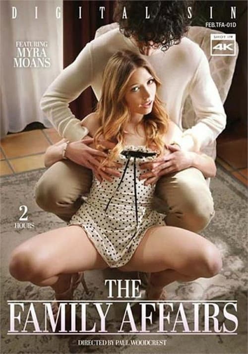 The Family Affairs poster