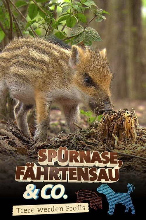 Spürnase, Fährtensau & Co. poster