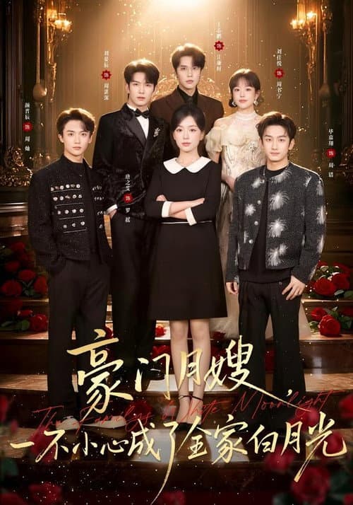 豪门月嫂，一不小心成了全家白月光 poster