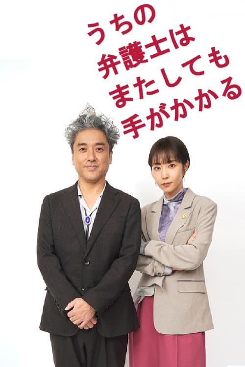 うちの弁護士はまたしても手がかかる poster