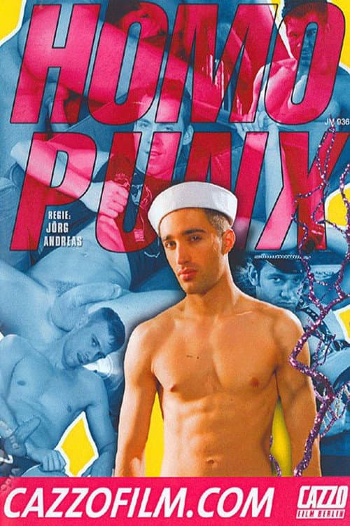 Homopunx poster