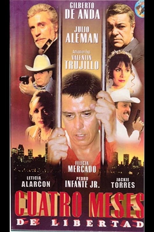 Cuatro meses de libertad poster