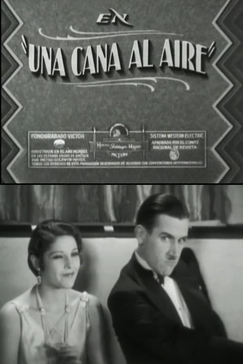 A gray in the air poster