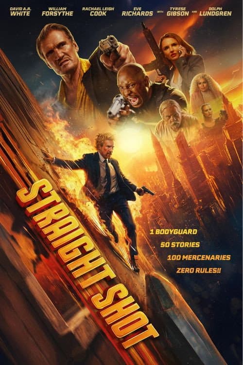 Straight Shot poster