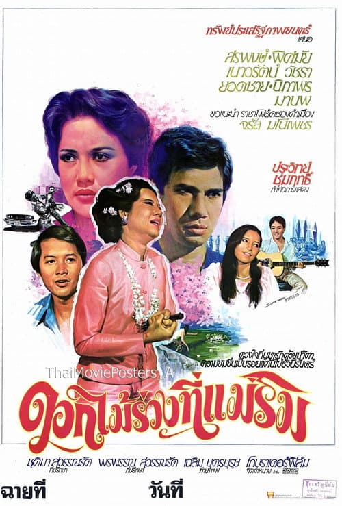 ดอกไม้ร่วงที่แม่ริม poster