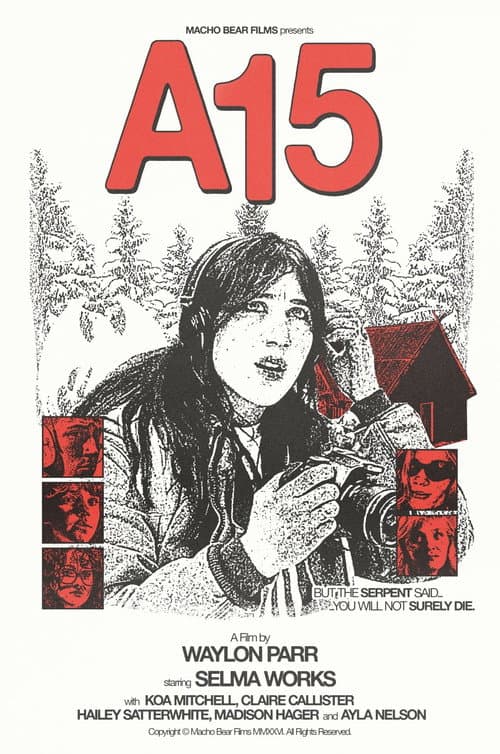 A15 poster