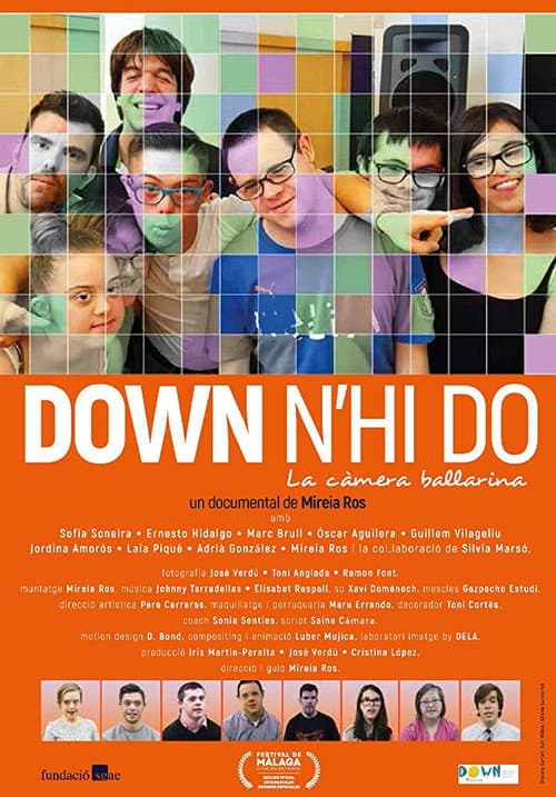 Down n'hi do - La càmera ballarina poster