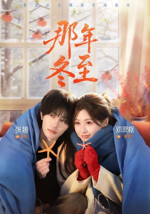 那年冬至 poster