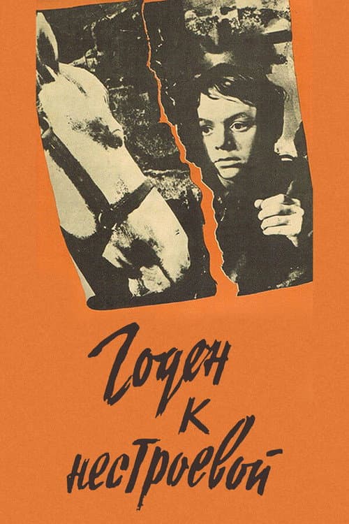 Fit for Non-Combatant poster