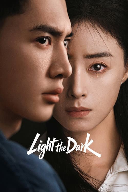 Light the Dark poster