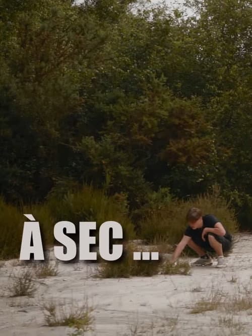 À sec poster