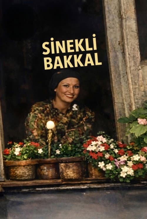 Sinekli Bakkal poster