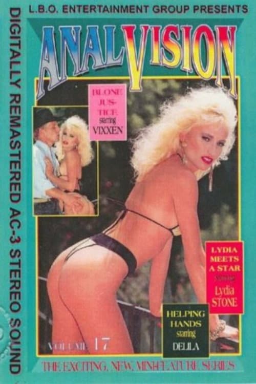 Anal Vision 17 poster