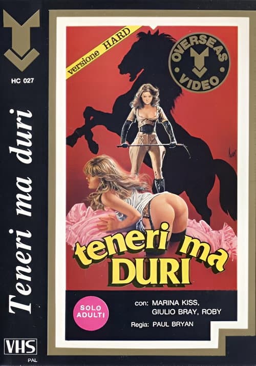 Teneri ma Duri poster