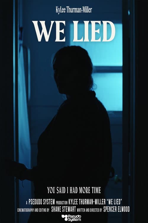 We Lied poster
