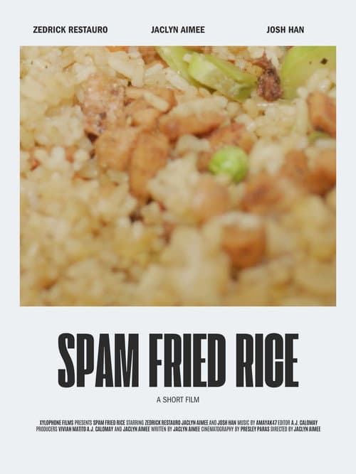 Spam Fried Rice poster