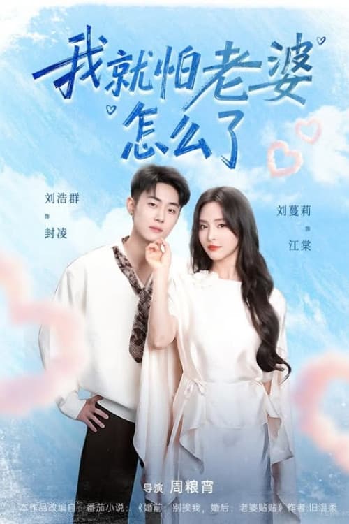 我就怕老婆怎么了 poster