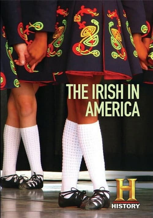 The Irish in America poster
