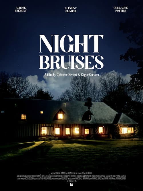 La Nuit Nuit poster
