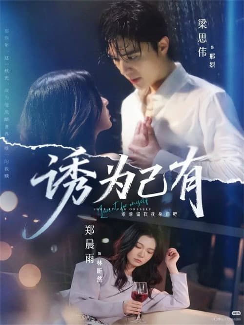 诱为己有 poster