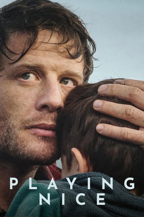 Playing Nice poster