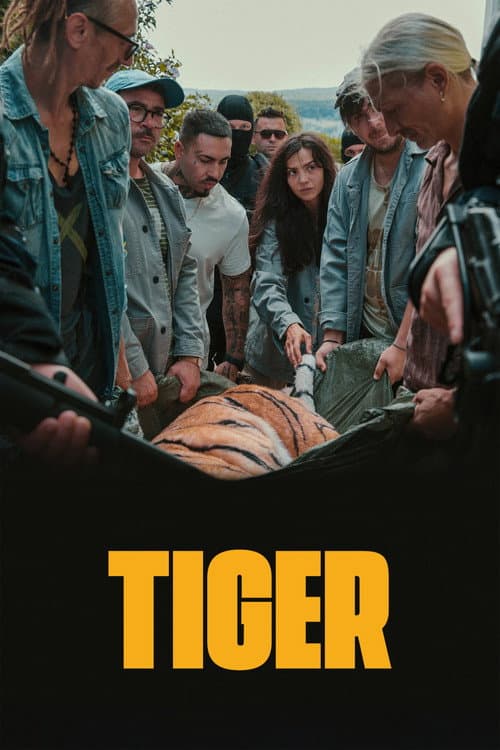 Day of the Tiger poster