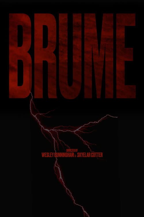 BRUME poster