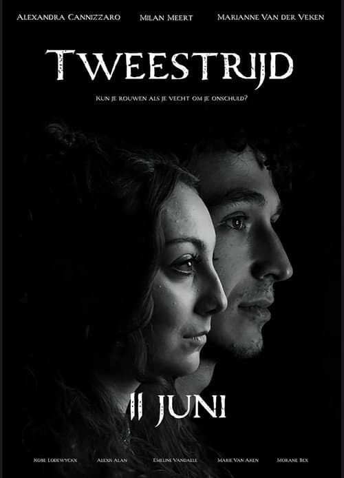 Tweestrijd poster