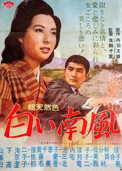 Shiroi minamikaze poster