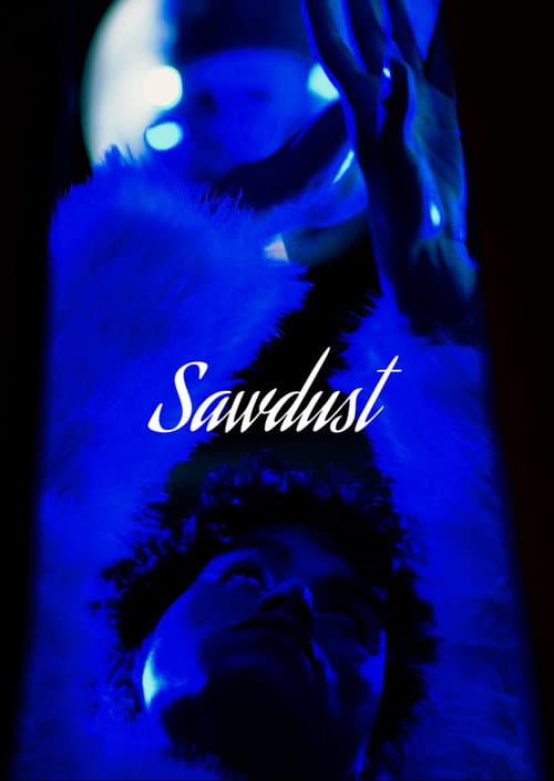 Sawdust poster