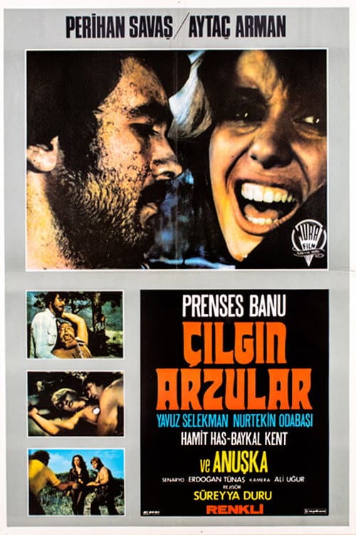 Çılgın Arzular poster