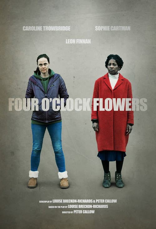 Four O'Clock Flowers poster