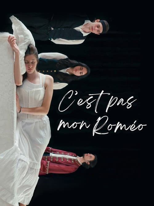 C'est pas mon Roméo poster