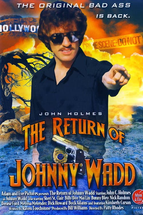 The Return of Johnny Wadd poster