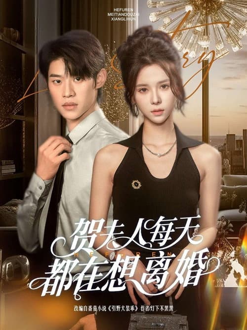 贺夫人每天都在想离婚 poster