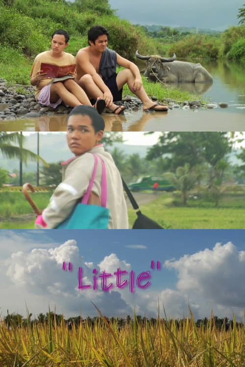 Little poster