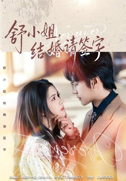 舒小姐，结婚请签字 poster