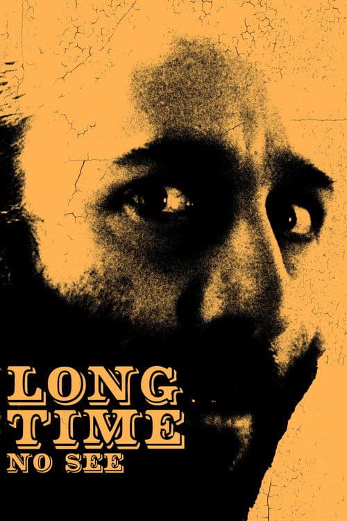 Long Time No See poster