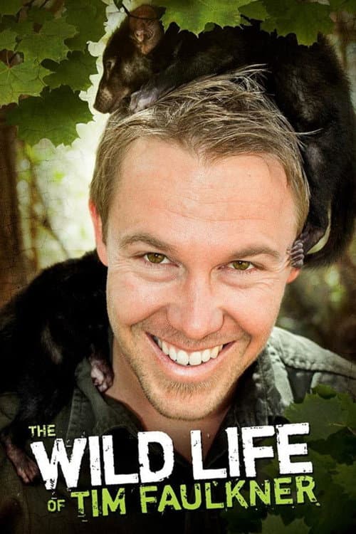 The Wild Life of Tim Faulkner poster