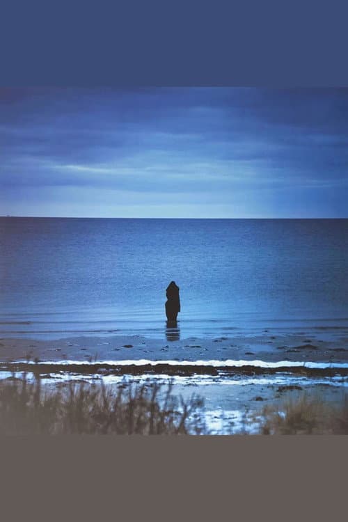 Steven Wilson: Catalogue / Preserve / Amass poster
