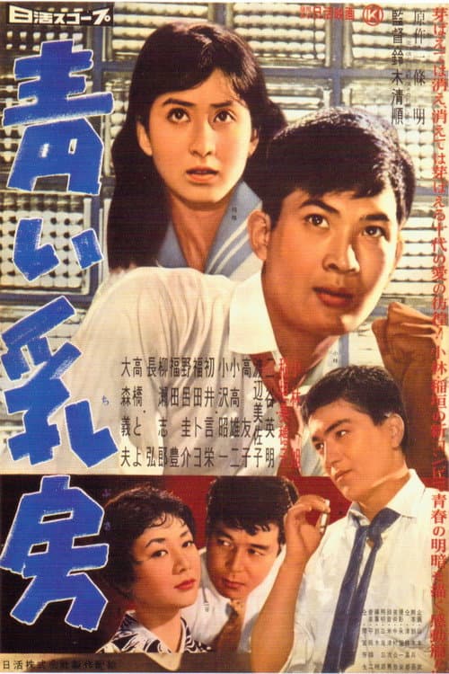 Young Breasts poster