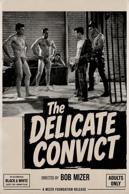 Delicate Convict poster